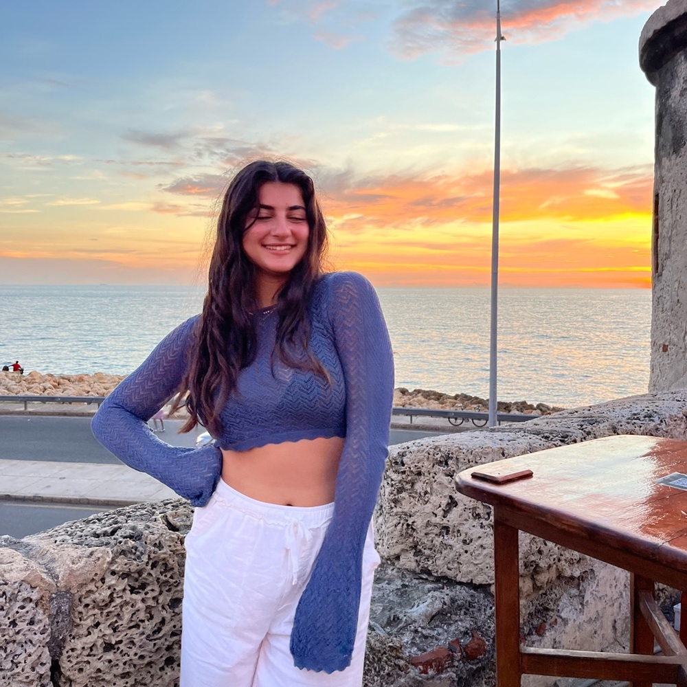 Zara Blue knit beach Long Sleeve Top